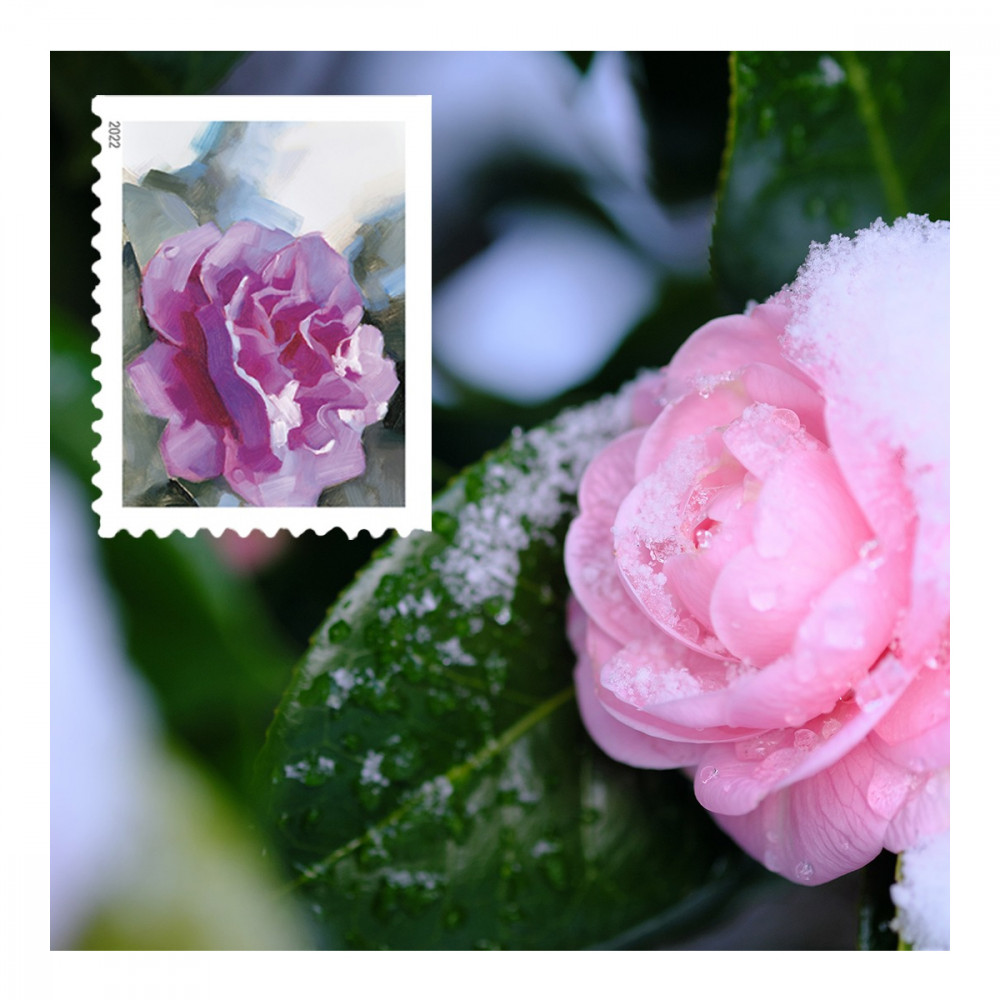 2022 USPS Snowy Garden Beauty Forever Postage Stamps